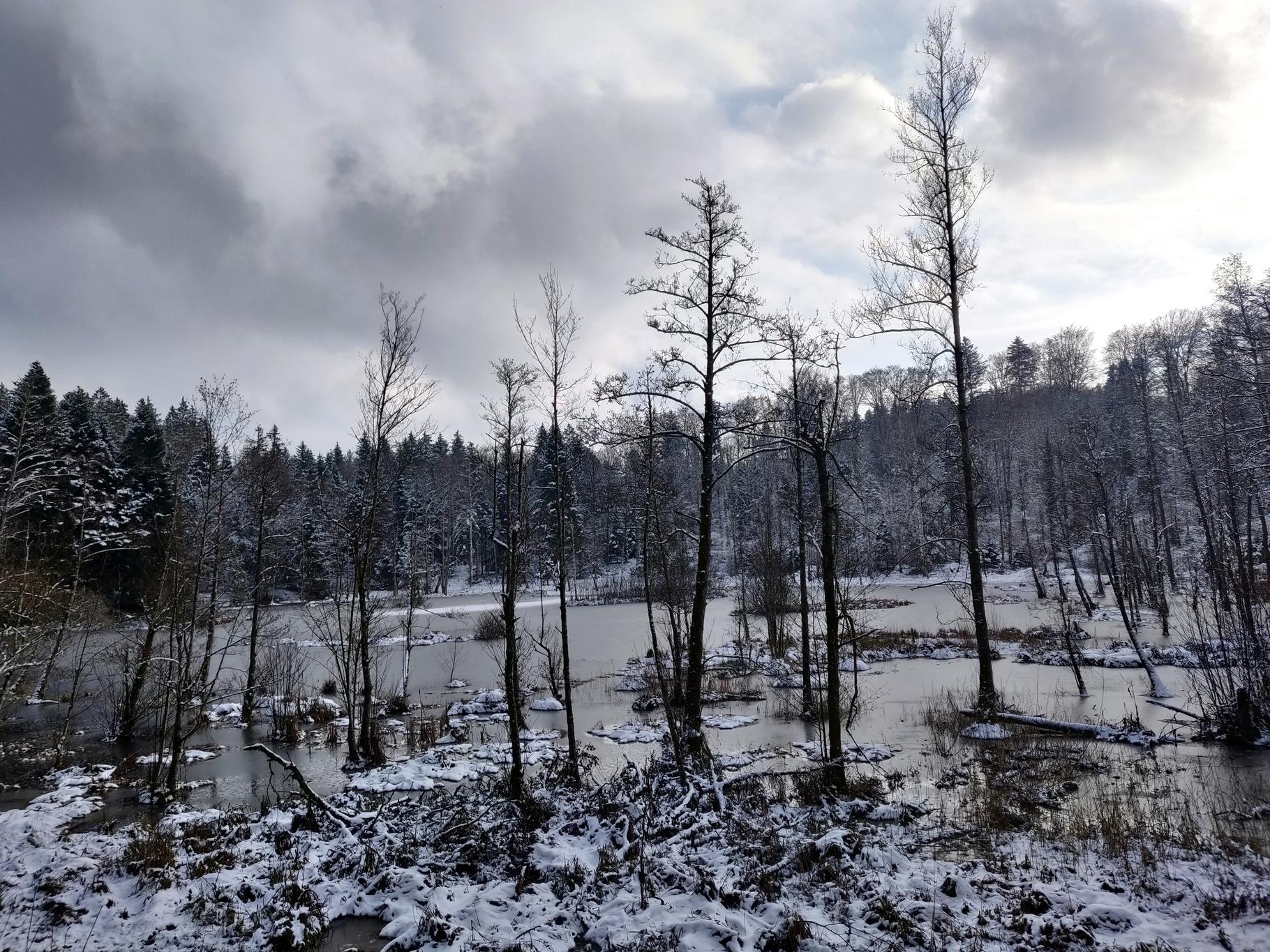 Aargau XC Image