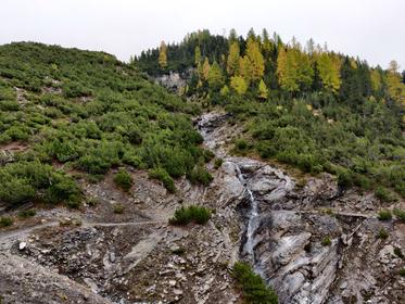 Achtung Bach! Thumbnail