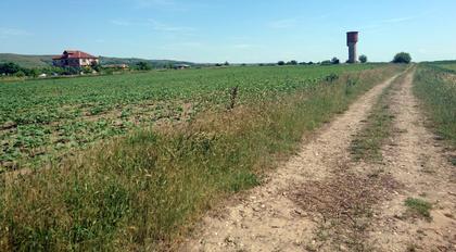 Donauradweg: Bregovo - Mizia   Thumbnail