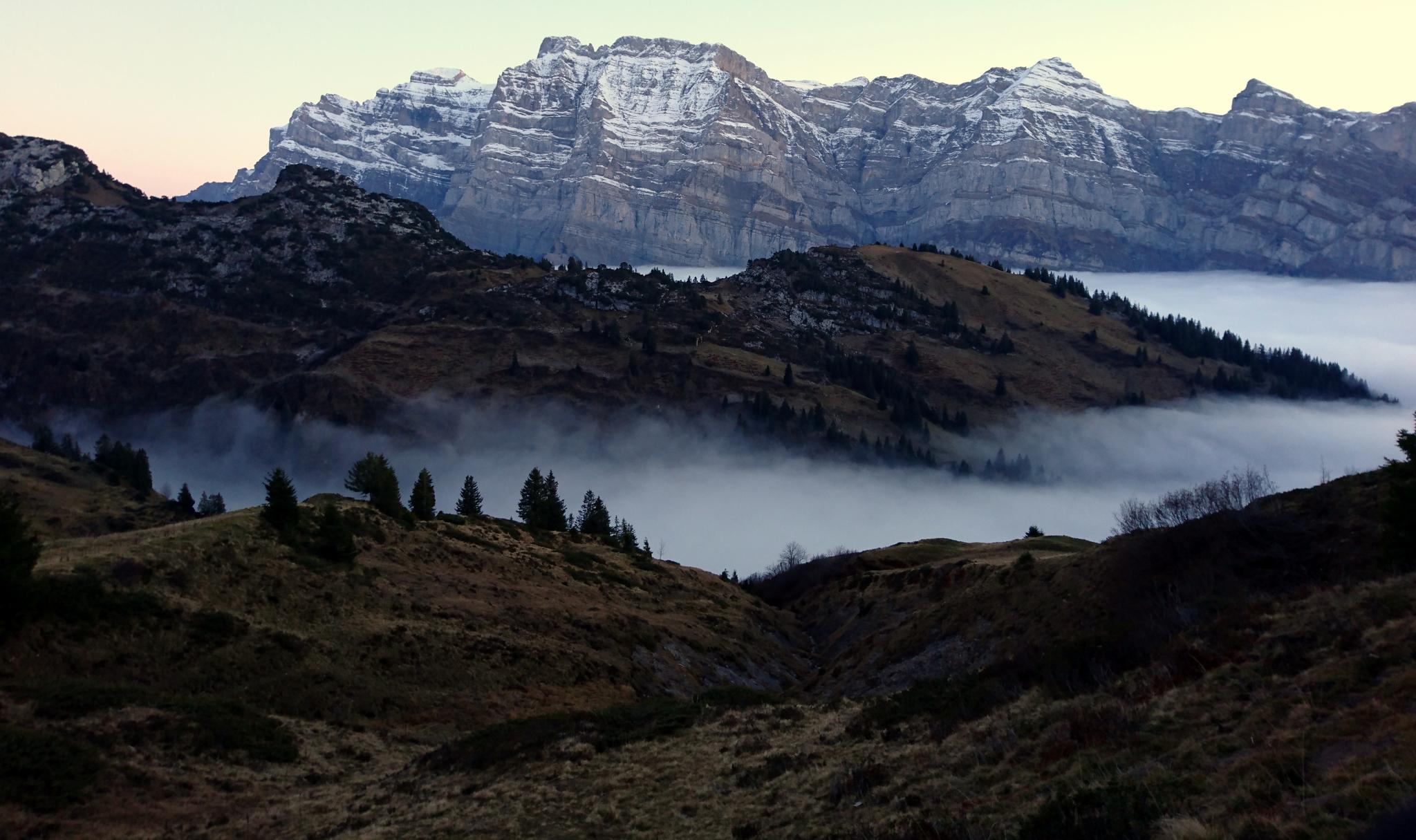 Fronalp & Lachengrat Image