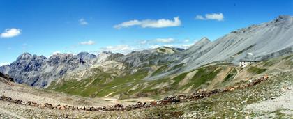 Transalp 2013 Thumbnail