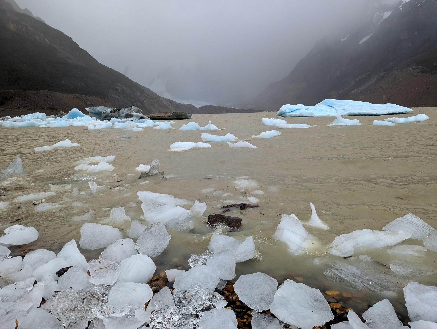 Laguna Torre Image