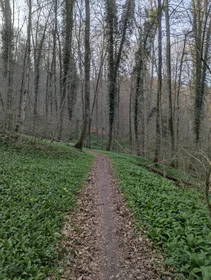 Gravel Seerunde Thumbnail