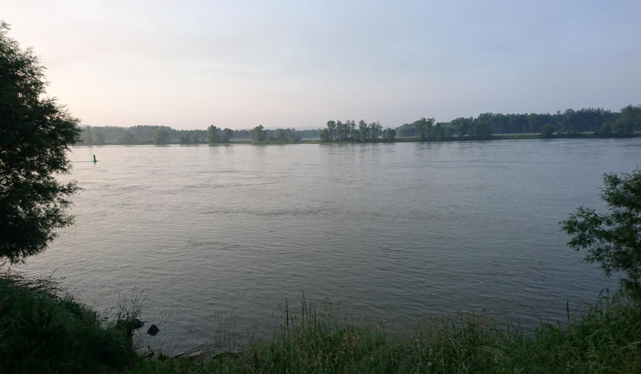 Donauradweg: Machland - Wien Image